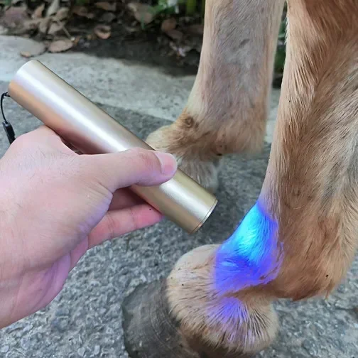 Red Light Vet Therapy Device For Horses Blue Light Near Infrared Pain Therapy Light Body Torch