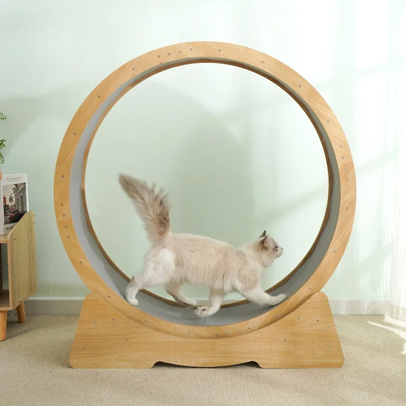 Cat Treadmill Safety Buckle Stable Load Bearing Circular Silent Track Designed and Polished Carefully