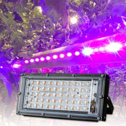 50W LED Grow Light Full Spectrum 220V Phytolamp Full Range LED Lamp For Plants SMD 2835 Growth Flower Bulb Indoor Garden IP65