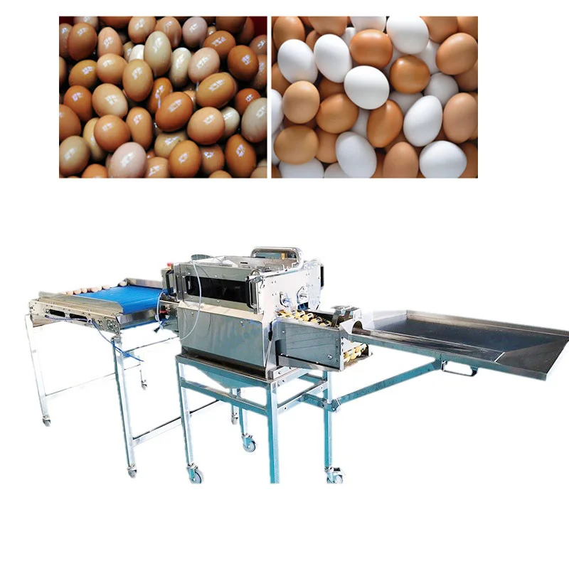 

Commercial Egg Processing Equipment Egg Washing Line Machine Egg Breaking Machine Breaker for Sale