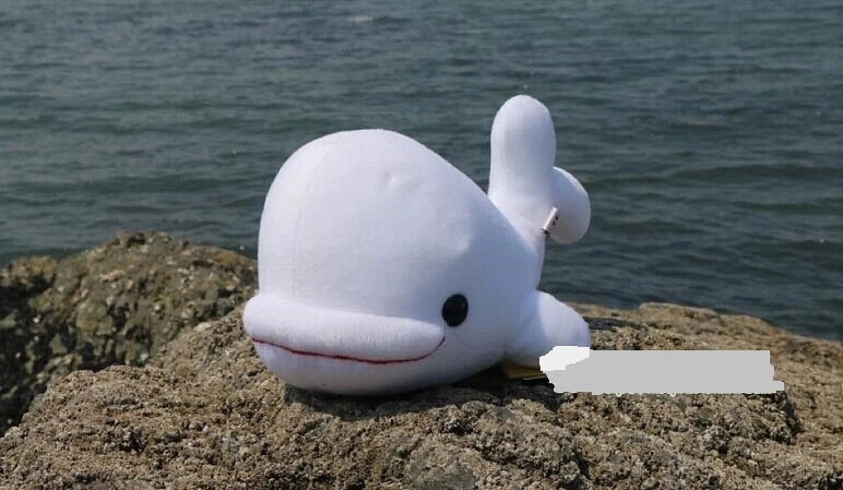 

cute plush dolphin toy stuffed big head pillow white whale doll birthday gift about 29cm