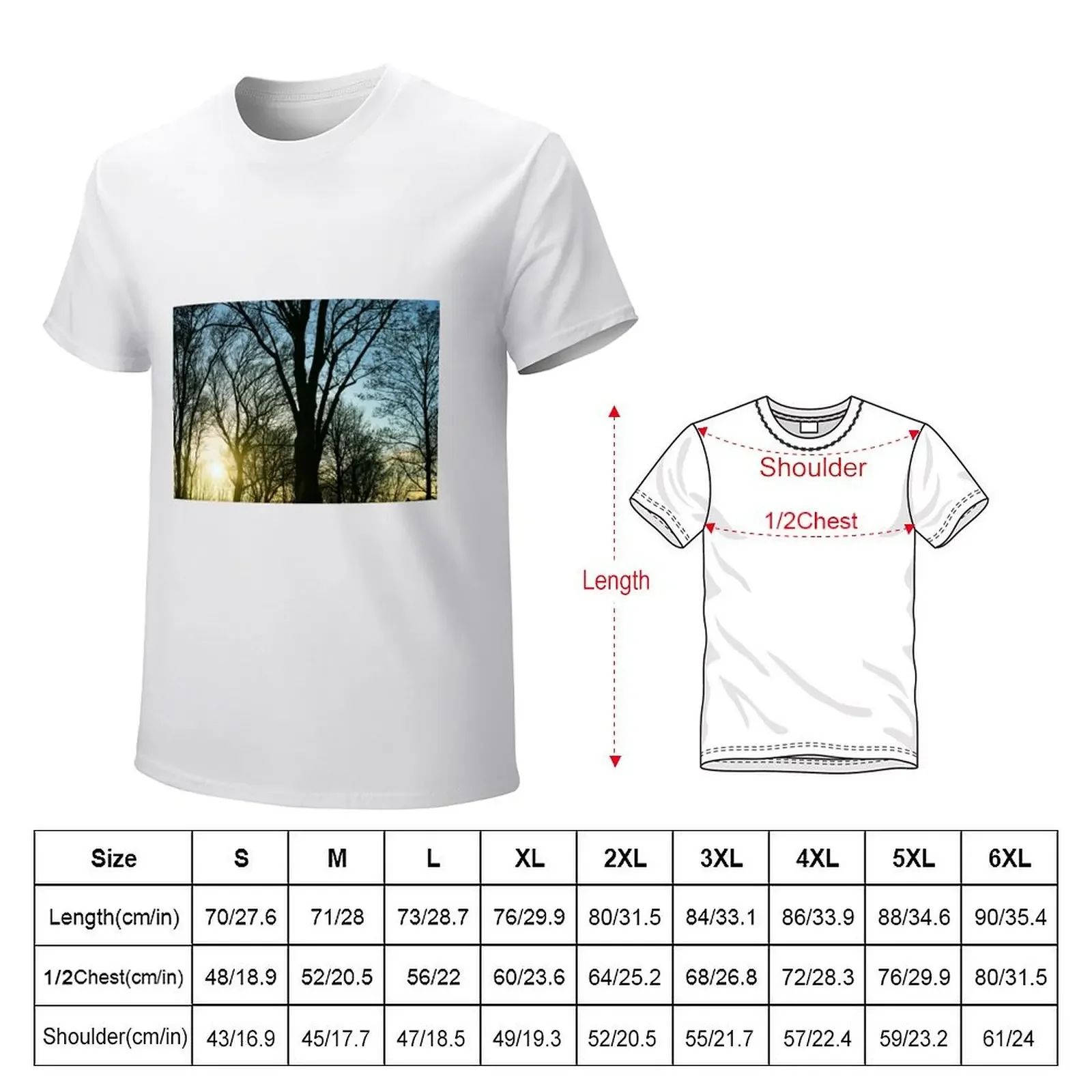 Leafless tree on  winer evening  sunse T-shir for  boy oversized men grphic  shirs