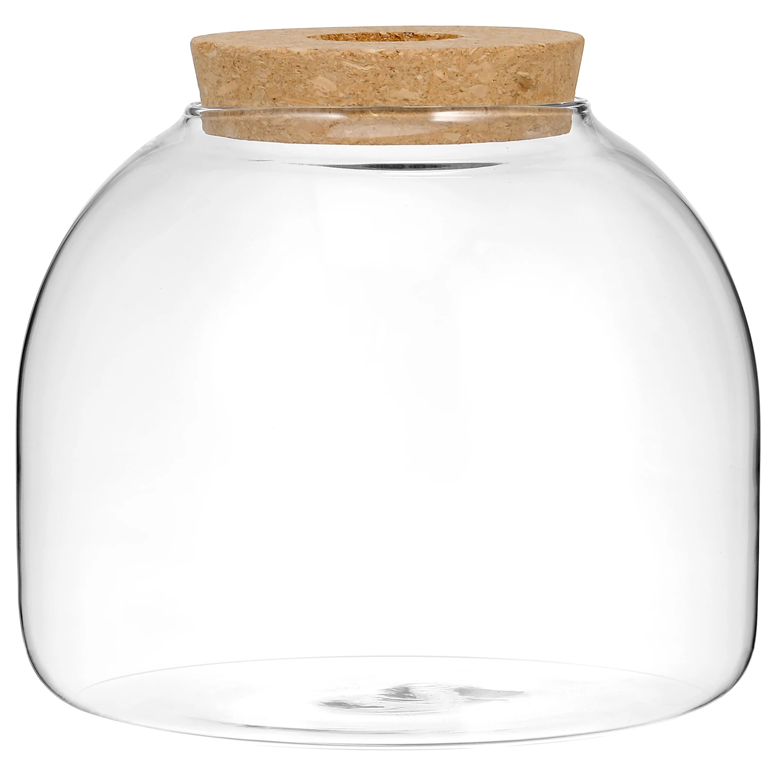 

Indoor Plants Eco Bottle Ornaments Glass Terrariums Planter Sealable Table Top Cute Transparent Jar Small Tabletop