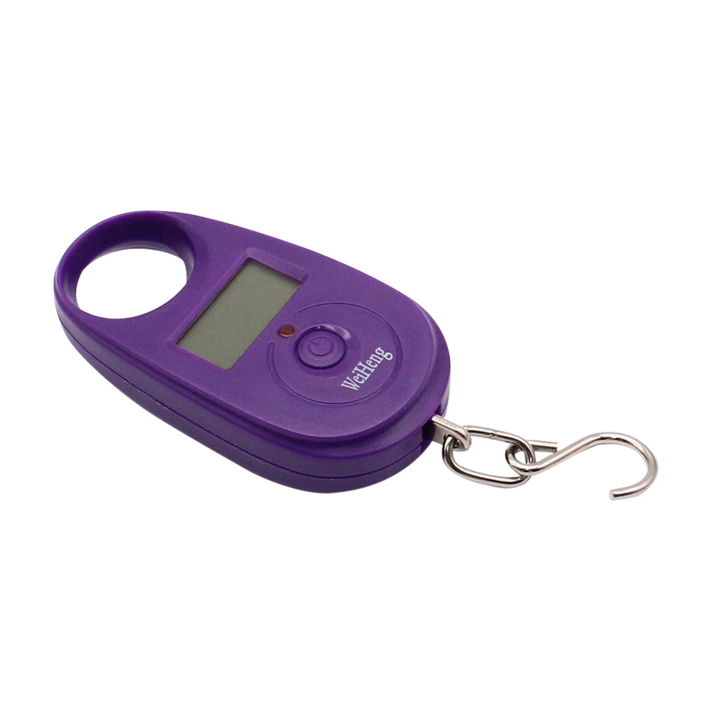 Mini Digital Scale 25Kg 5g Electronic Fishing Weight Pocket Luggage Scales Hanging Hook Mini LCD Weighing Balance