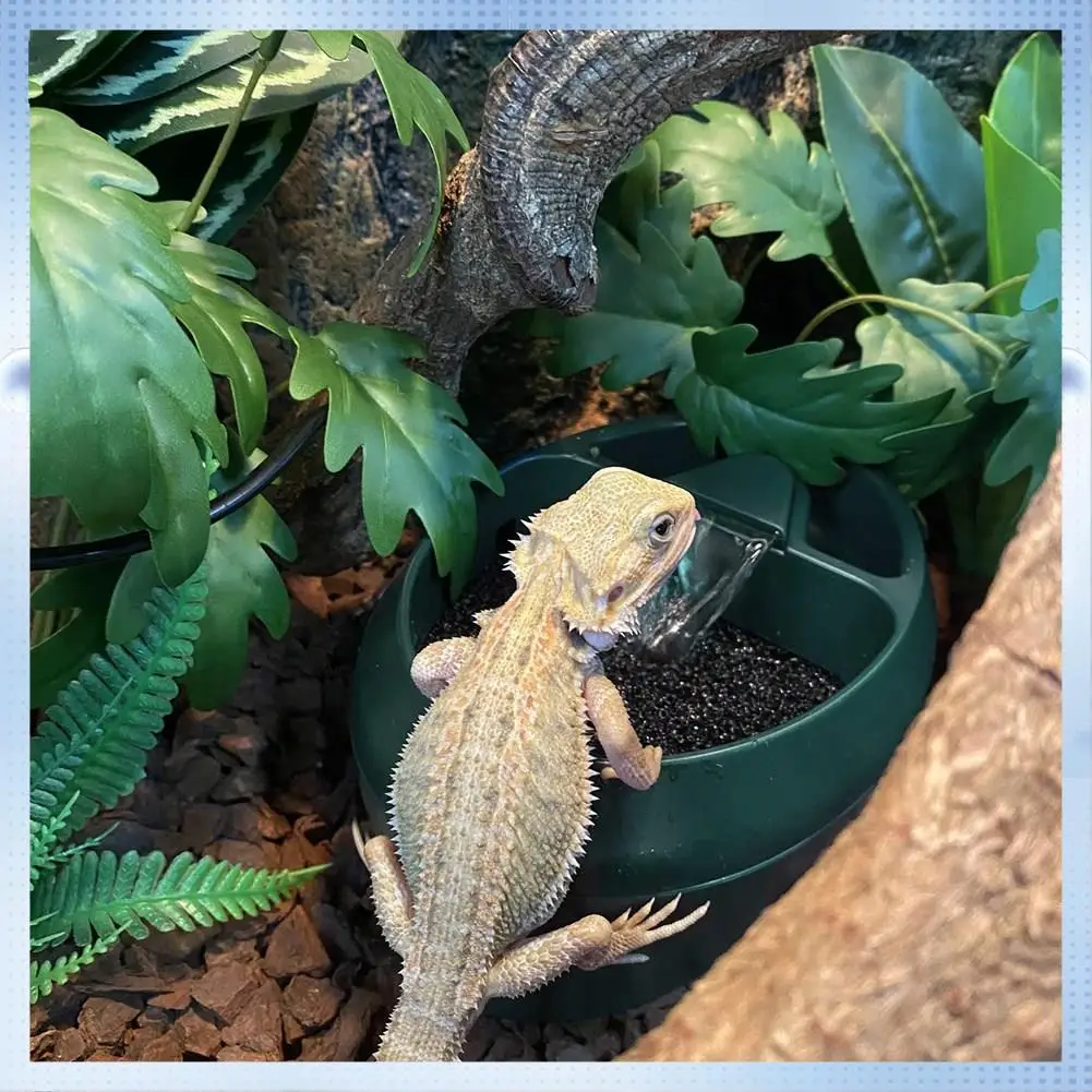 

AD-Reptile Chameleon Cantina With Snacks Trough, Drinking Fountain Water Dripper For Amphibians Insects Lizard US Plug