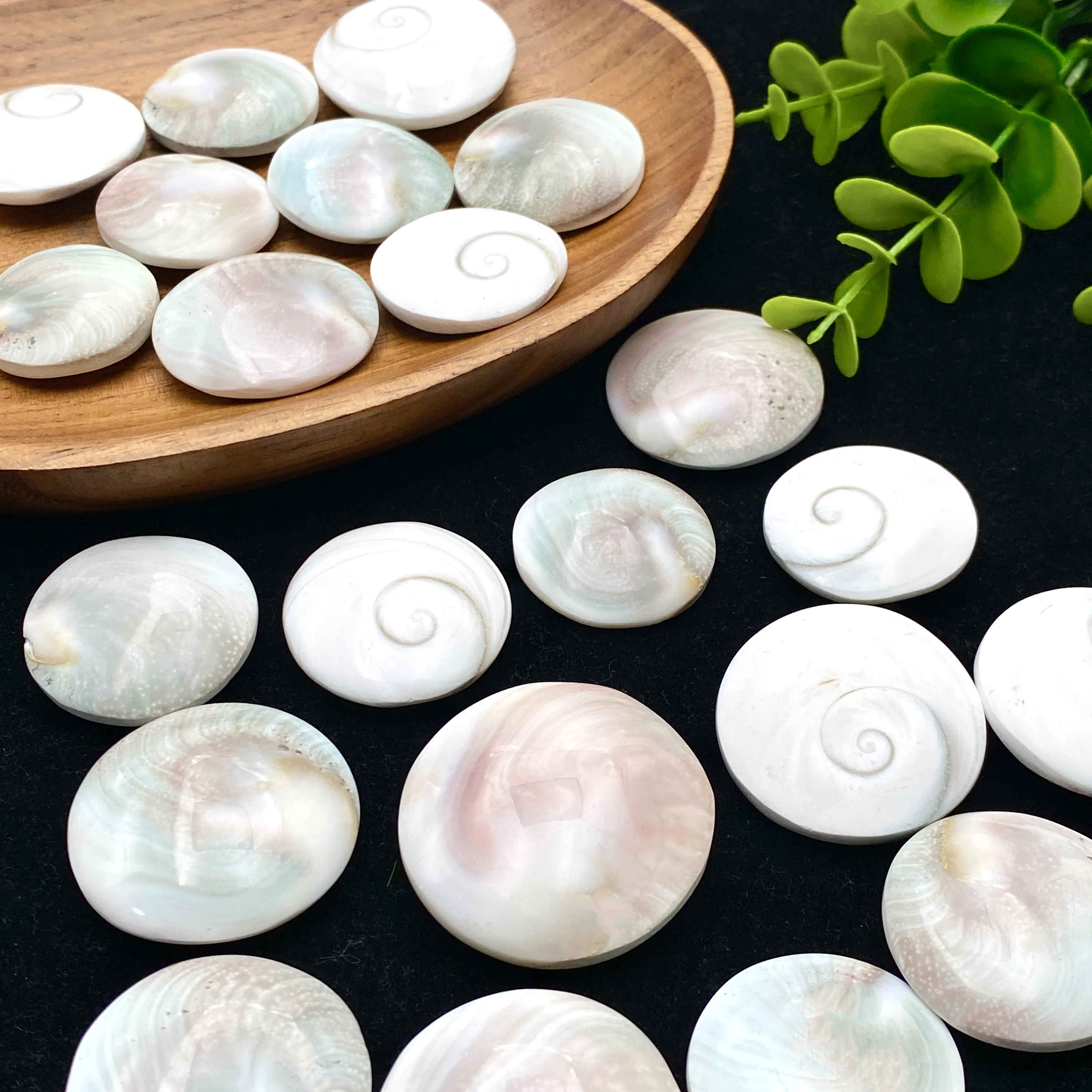 5PCS Natural Crystal Sun Shell DIY Jewellery Reiki Healing Stone Energy Harvesting Meditation Healing Crystal Jewelry