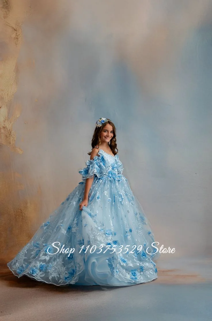 Custom Sky Blue Flower Girl Dress Embroidered Floral Skirt Formal Occasion Dress Birthday Party Dress Floral Print Dress