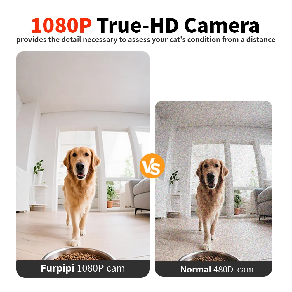 Thumbnail 3 - #73 Cheap Automatic Dog Feeders Worth Buying