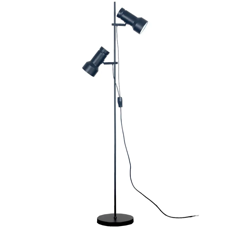 

Creative style living room study bedroom double control adjustable angle two-color floor lamp