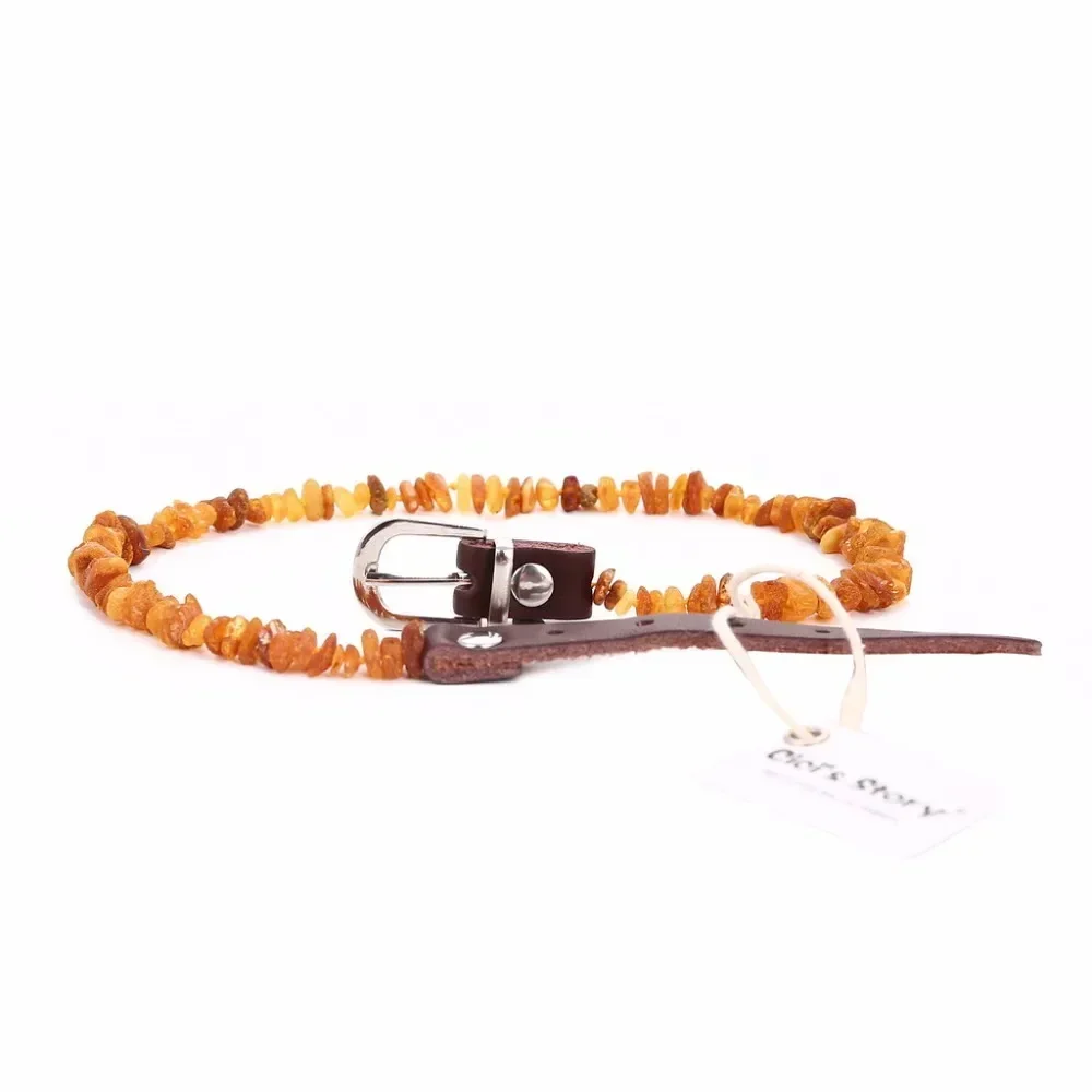 Adjustable Baltic Amber Flea and Tick Collar for Pets