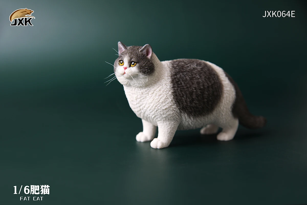 JXK JXK064 1/6 Scale Resin Different Types Fat Cat Statue Cute Short Hair Ornament For 12 inch Action Figures Accessories Gifts