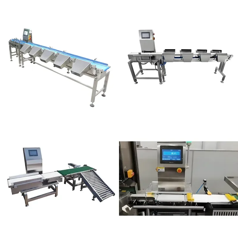Easy to Operate Weight Checker Inspection Scale Weight Sorter for Quality Control and Product Sorting
