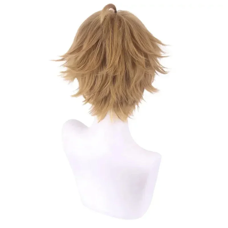 Anime Mushoku Tensei: Reincarnazione senza tempo Rudeus Greyrat Dead End Parrucca cosplay Rudeusu Gureiratto Parrucca Uomo Parrucche da festa