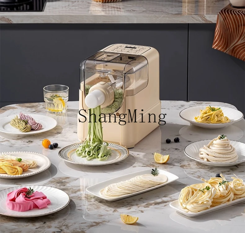 ZYY macchina per impastare la pasta intelligente automatica per uso domestico ZYY