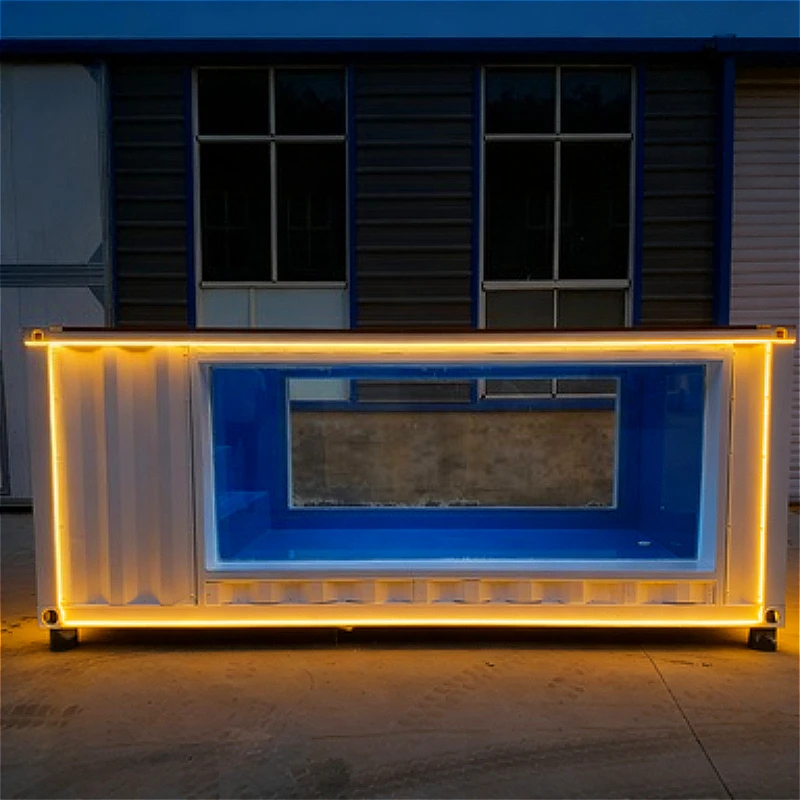 Prefab 20ft Container Swimming Pool Effortless Luxury for Villas and Hotels Durable Easy Maintain Fully Customized
