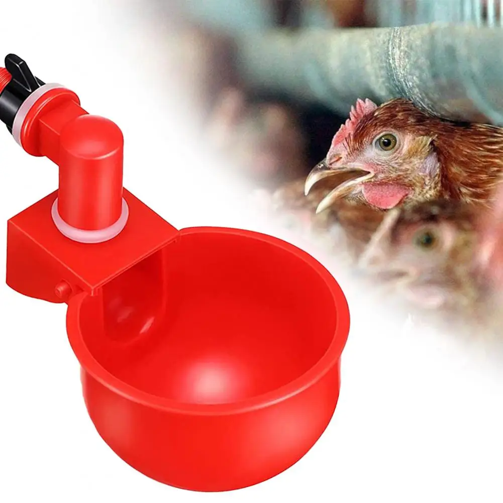 Attractive Chicken Feeder Wide Application Bright-colored Anti-deform Universal Rounded Edge Chicken Waterer