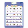 Insects