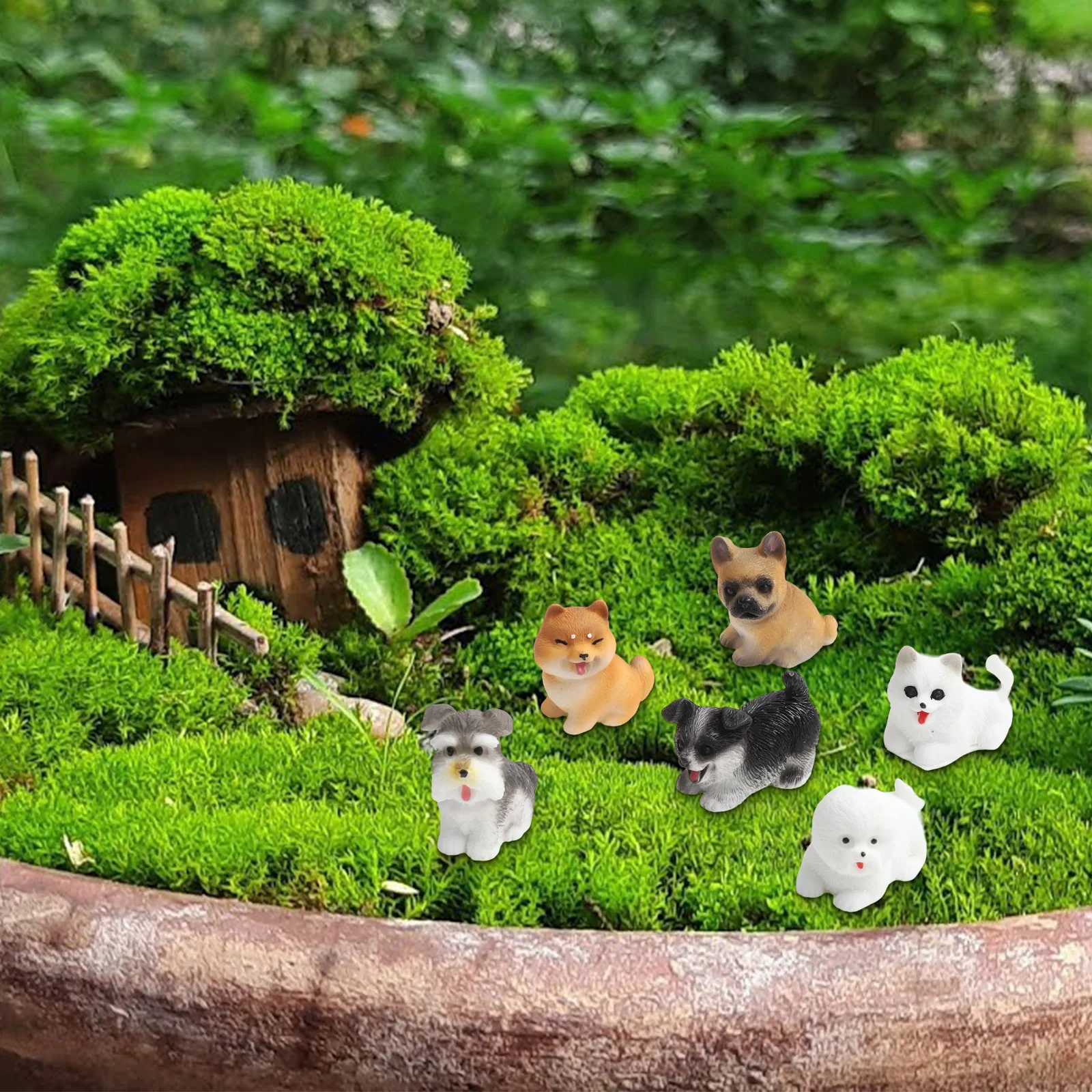 Bonsai Garden Set Up - Dekoracje do bajkowego ogrodu jak na