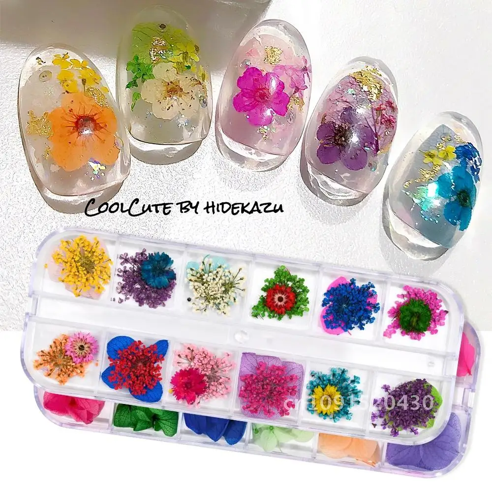 12 Grids/box 3D Nail Mini Dried Flowers Sticker Set For Nail Art Resin Craft DIY Real Natural Dry Flower Nail Art Decoration Kit