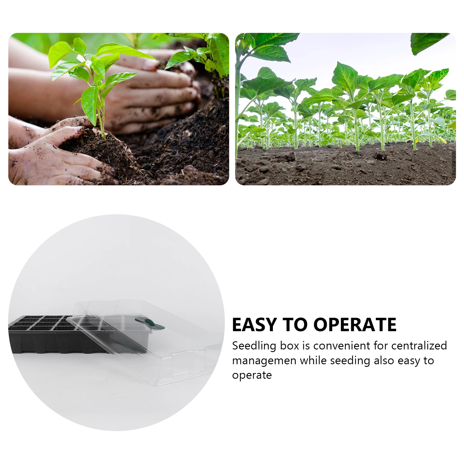 

3pcs /Set 24-Cell Plant Germination Tray Durable Plastic Seedling Nursery Box Transparent Lid Hydroponic Grow Tray Stackable For