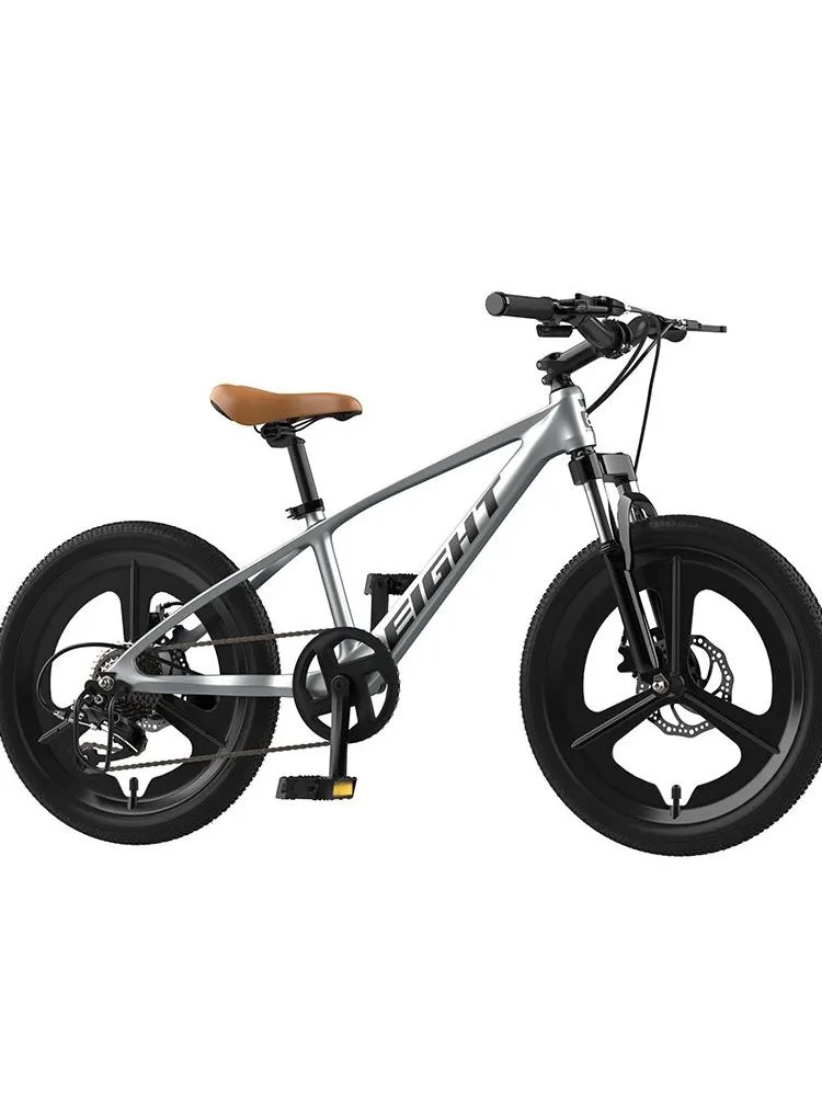AliExpress TLXT Cross Life 20 Inch Magnesium Alloy Mountain Bicycle 8/10 Year Old Youngster Bicycle Double Disc Brake Variable Speed Bicycle