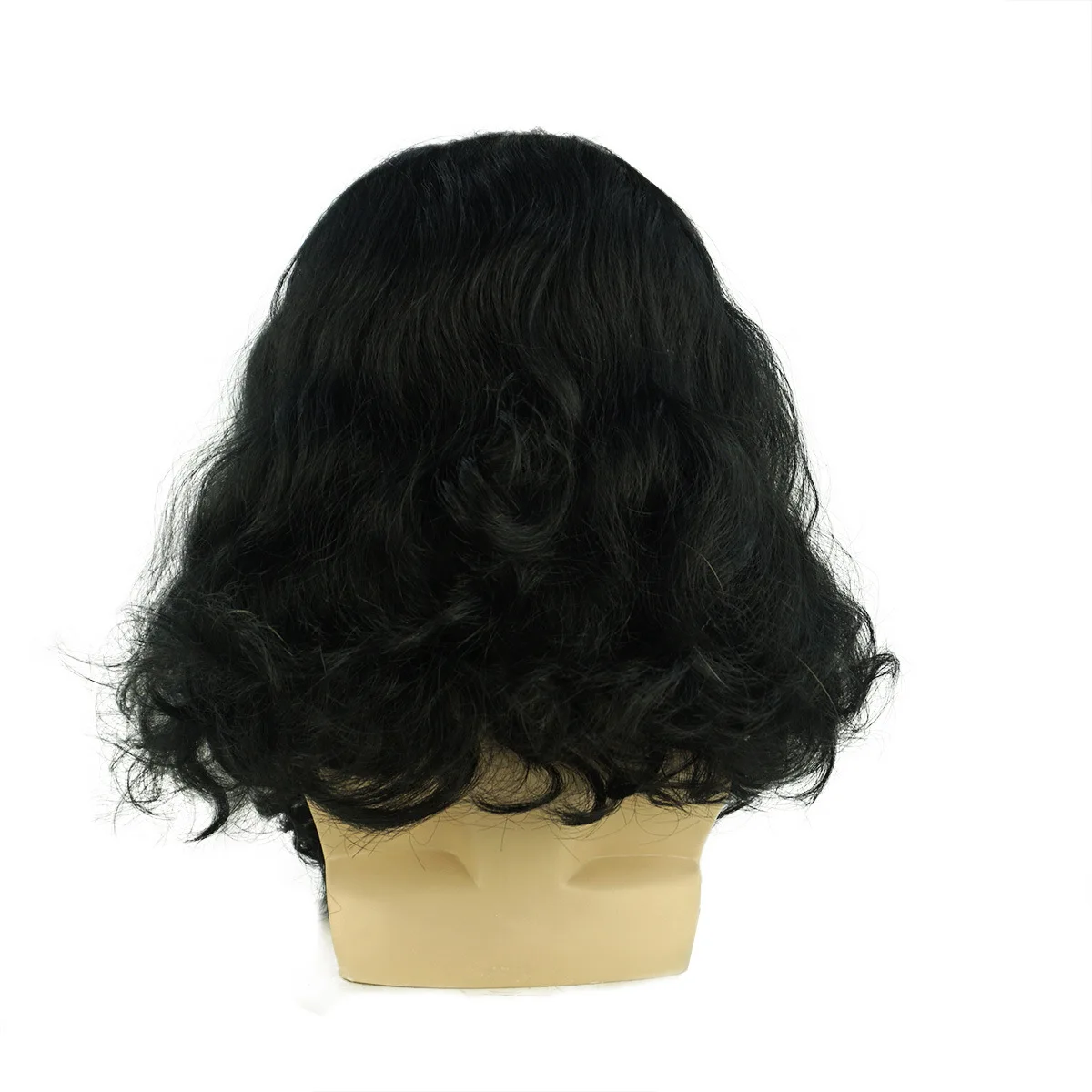 Mens Wig and Beard Set