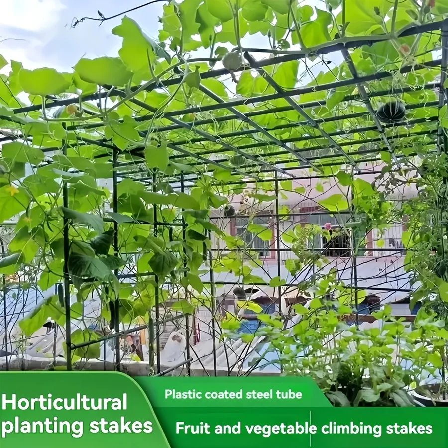 Pop Rustproof Vegetable Climbing Frame Kit Plant Grow Support Trellis for Cucumber Tomato Grape Vine Climbing Growth XS63