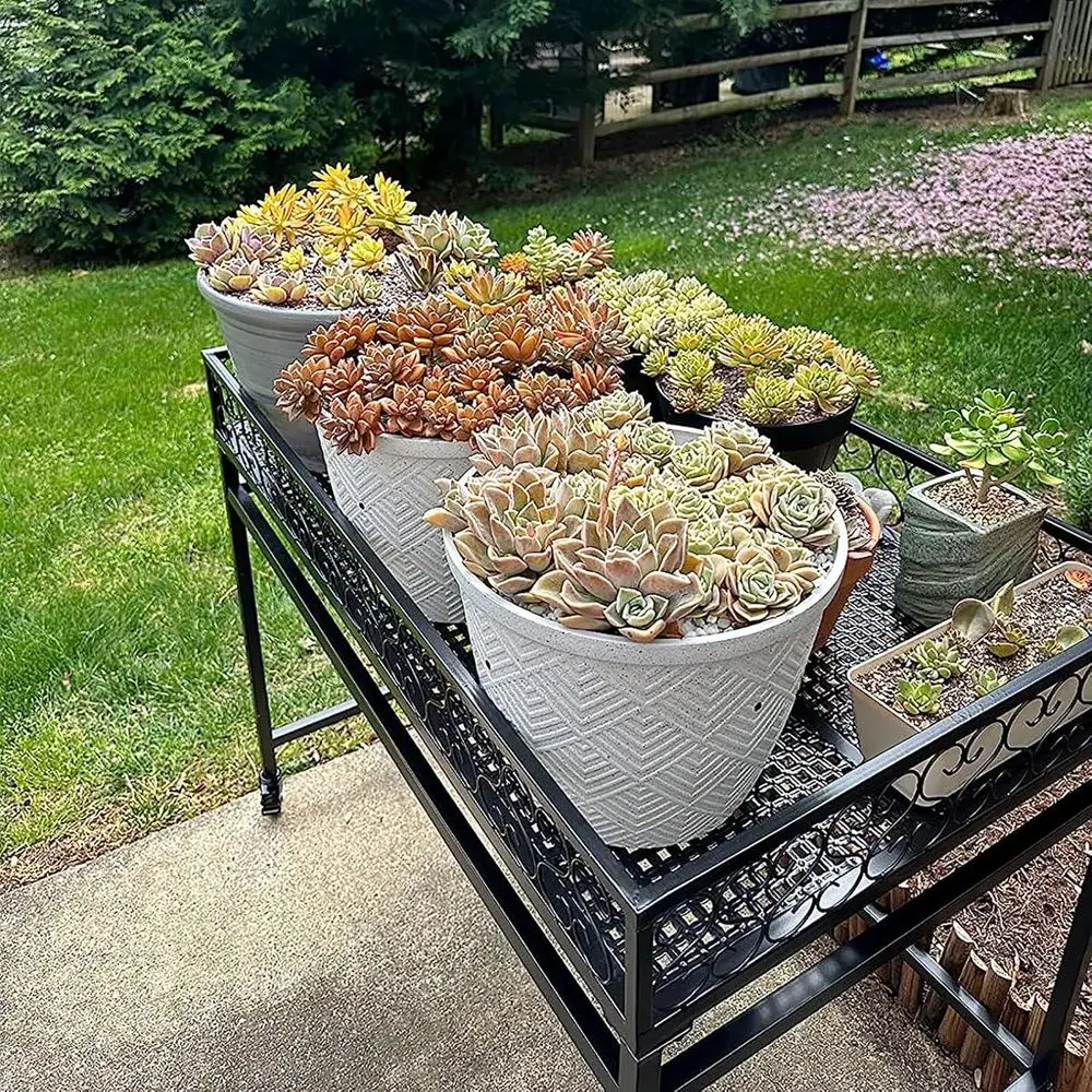 2-Tier Rolling Metal Plant Stand - Ladder Style Pot Rack for Indoor & Outdoor Flower Displays