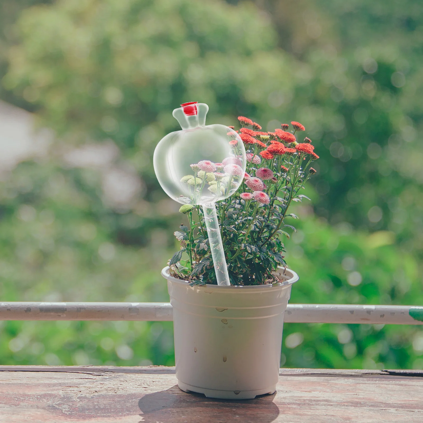 

5Pcs Automatic Seepage Drip Irrigation Tool for Plants Plant Self System Indoor Outdoor Garden Device