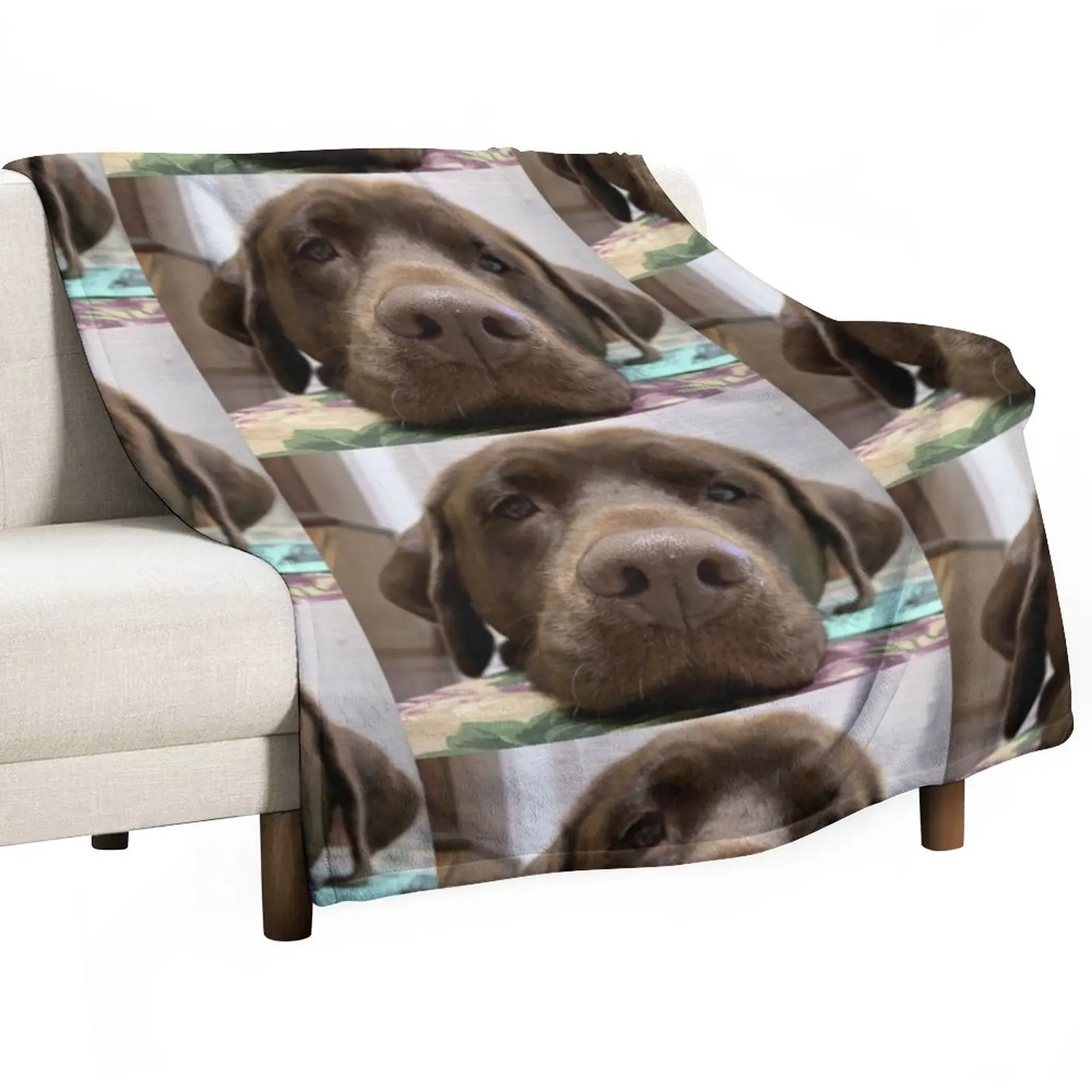 

Chocolate Lab/Mix Throw Blanket Decorative Throw Blanket Loose Blanket Large Blanket