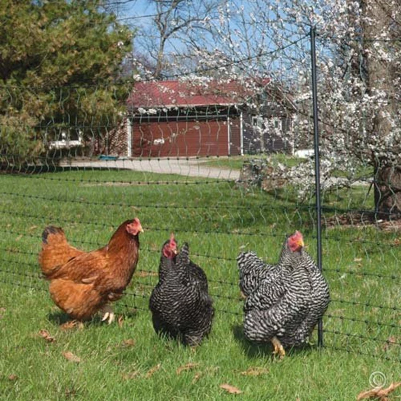 Malla de 18 hebras a prueba de aves, red de protección de cultivos, valla de jardín, ciervo, gato, perro, pollo, Red de frutas de huerto, 4CM de