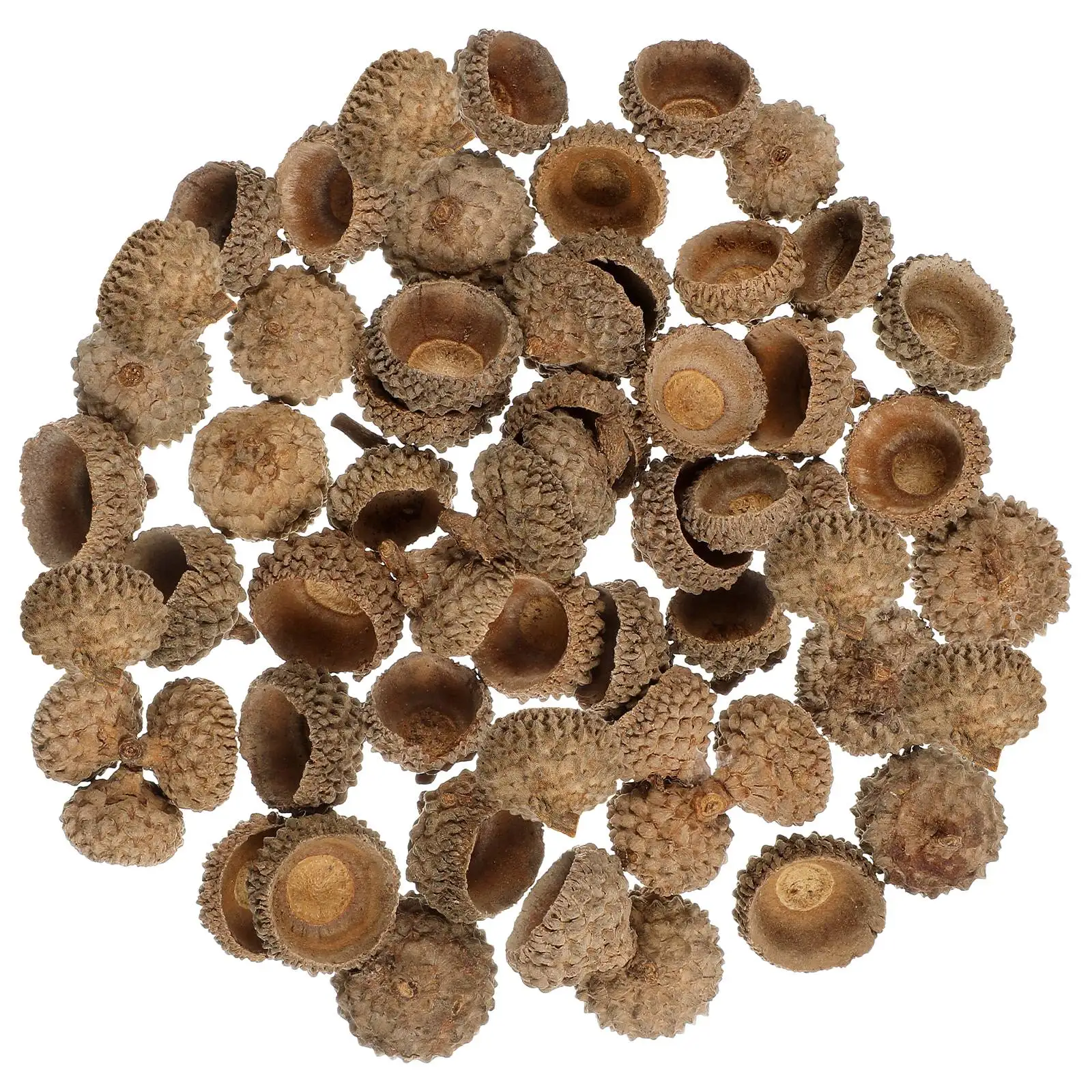 

50PC Natural Acorn Cap Dried Acorn Decorative Christmas Tree Hanging Pendant Diy Autumn Fall Ornament For Golden Christmas