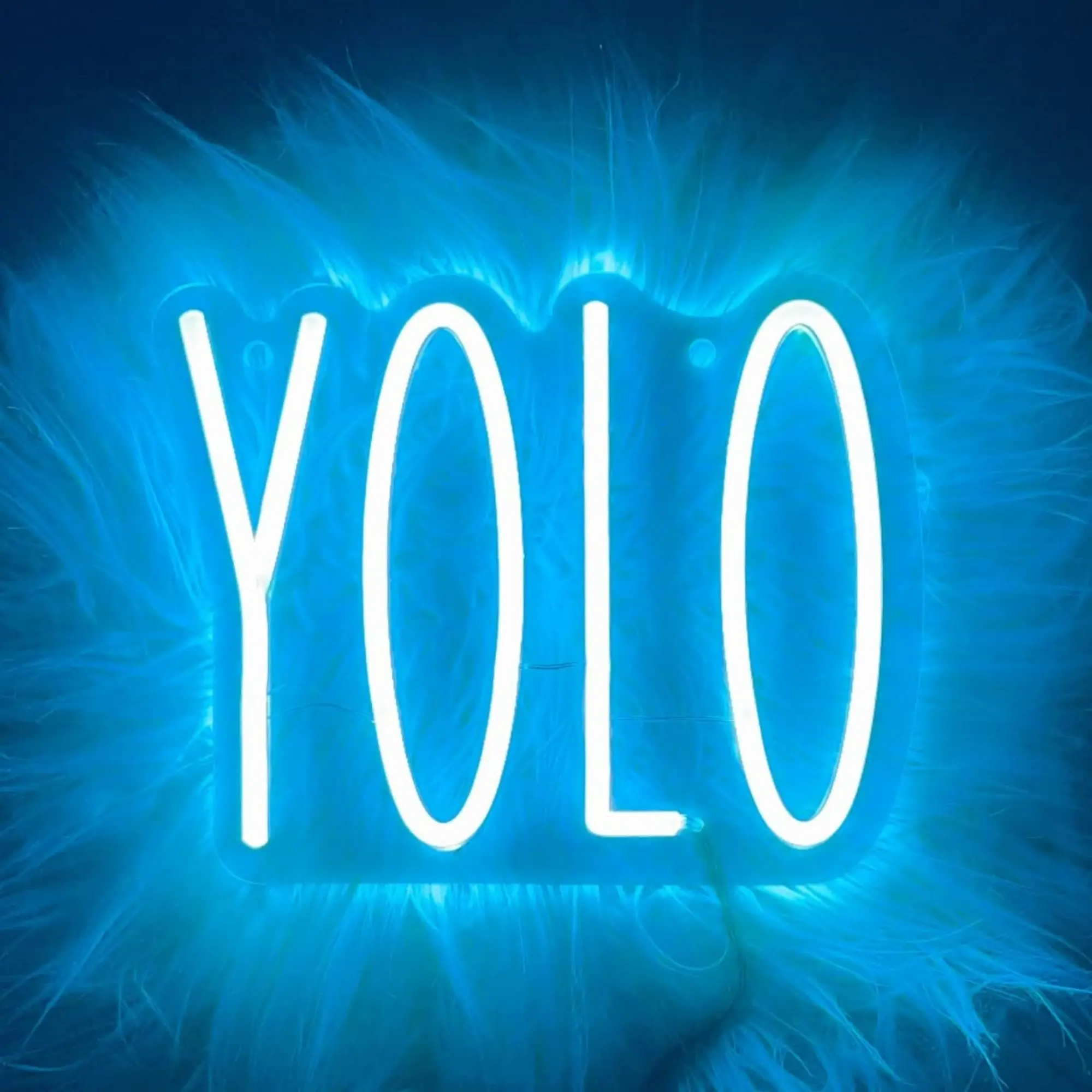 

YOLO Neon Sign for Wall Decor LED Sign Neon Lights Signs for Bedroom Wall Ice Blue Room Décor USB Powered with Dimmable Switch