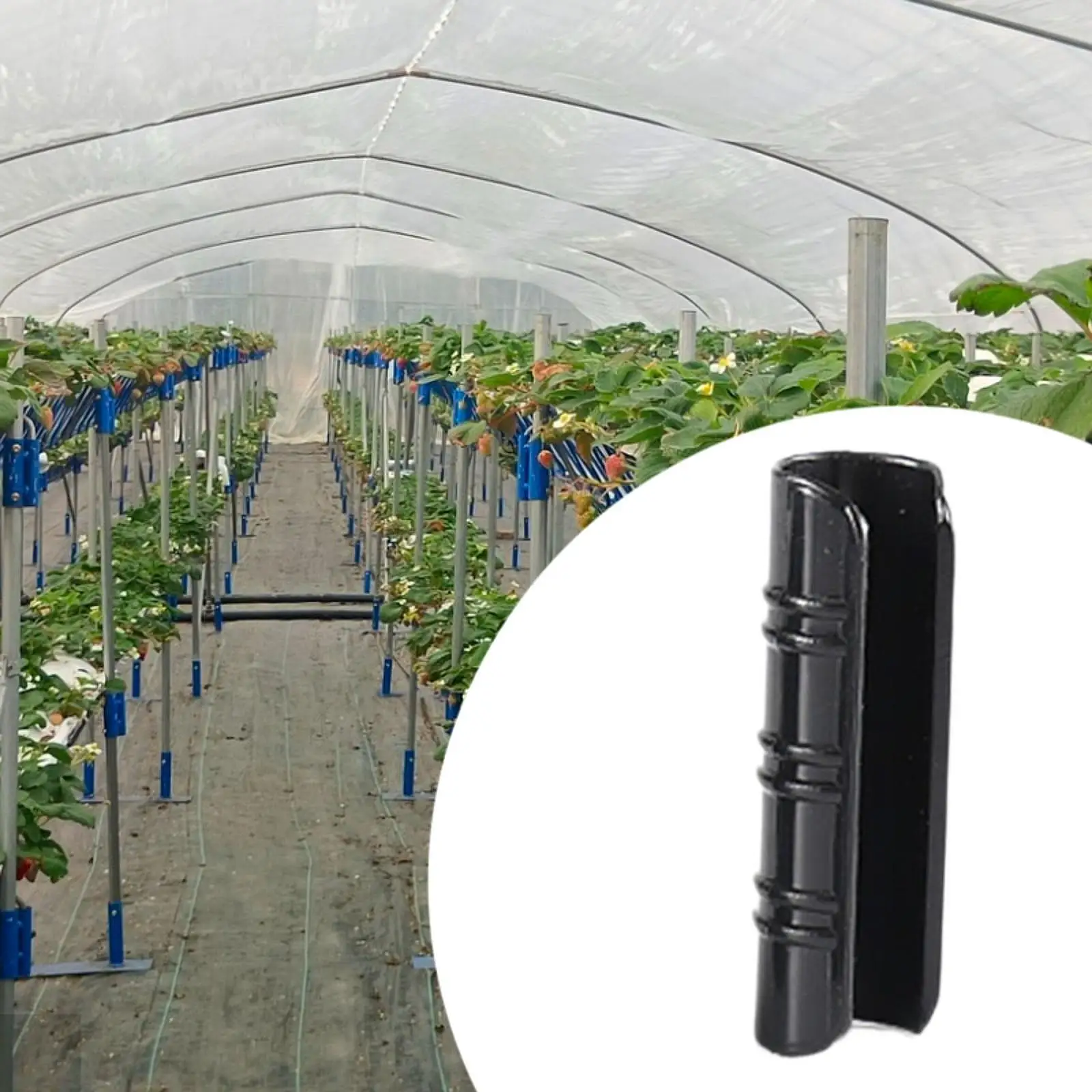 Morsetto per serra con Clip di fissaggio per serra facile da usare resistente all'usura robusto