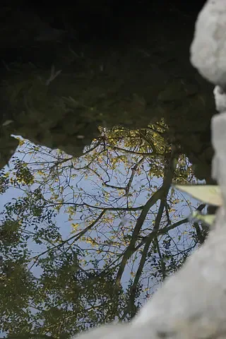

4,3-дюймовый FPV DVR монитор с ЖК-экраном 5,8 ГГц, 800x480, с двойным приемником для RC FPV дронов, квадрокоптеров, гонок на дальние дистанции