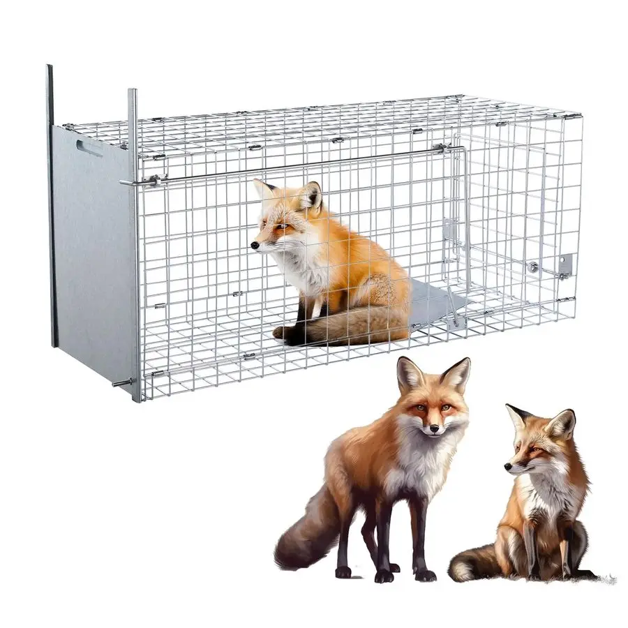 

Large Humane Live Animal Trap,Collapsible Large Animal Catcher Cage,Cage Traps for Large Dogs up to 38 pounds,Foxes,Coyotes,Bobc