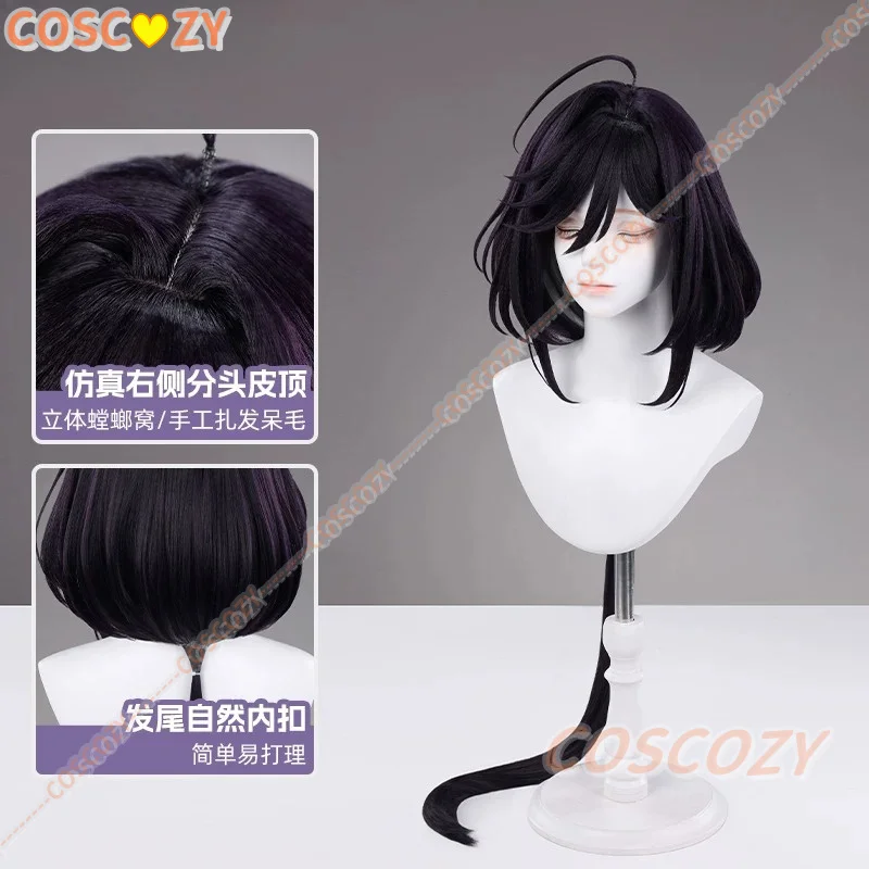 Anime The Ribbon Hero Sapphire Cosplay Wig Princess Halloween Party Women Carnival Wigs Knight Outfit Props Synthetic Hair view 6