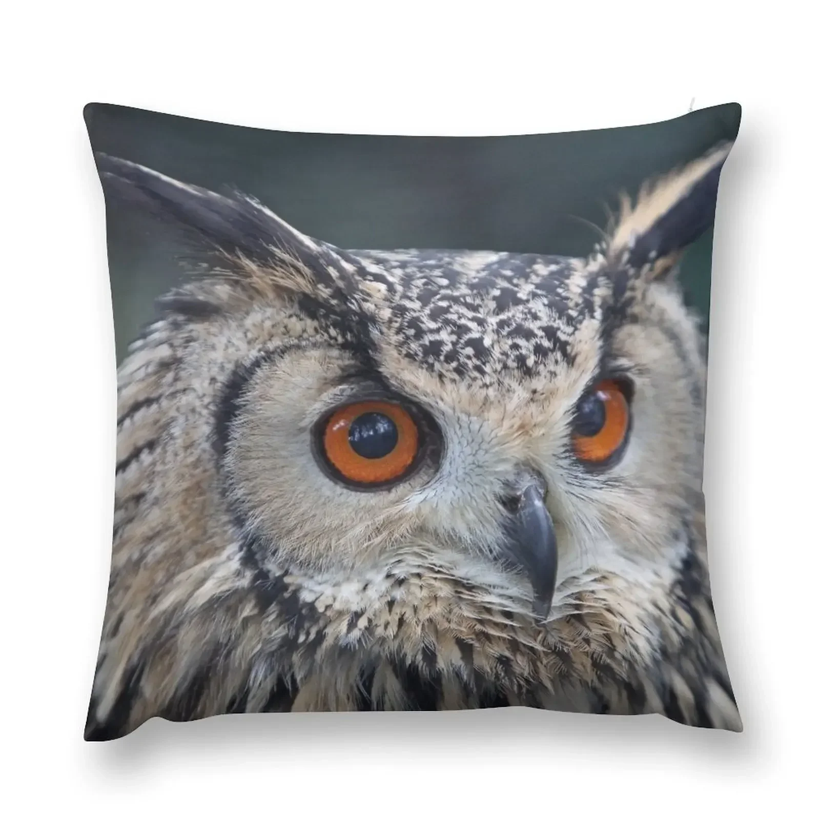 

Owl Throw Pillow Pillowcase Cushion Elastic Cover For Sofa Pillowcases Bed Cushions Cushions Cover pillow