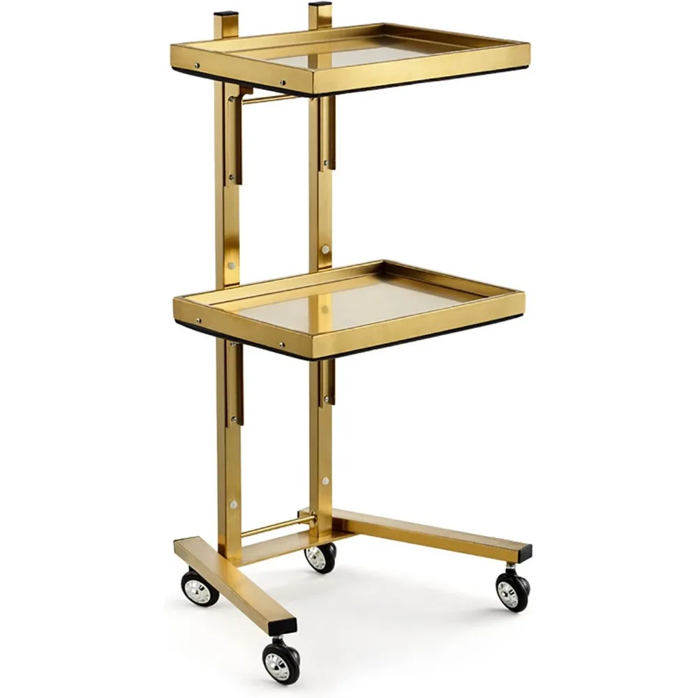 

2-Tier Metal Rolling Cart, Stainless Steel Salon Storage Stand with Wheels Trolley Tray Storage Cart Kitchen Storage Utility