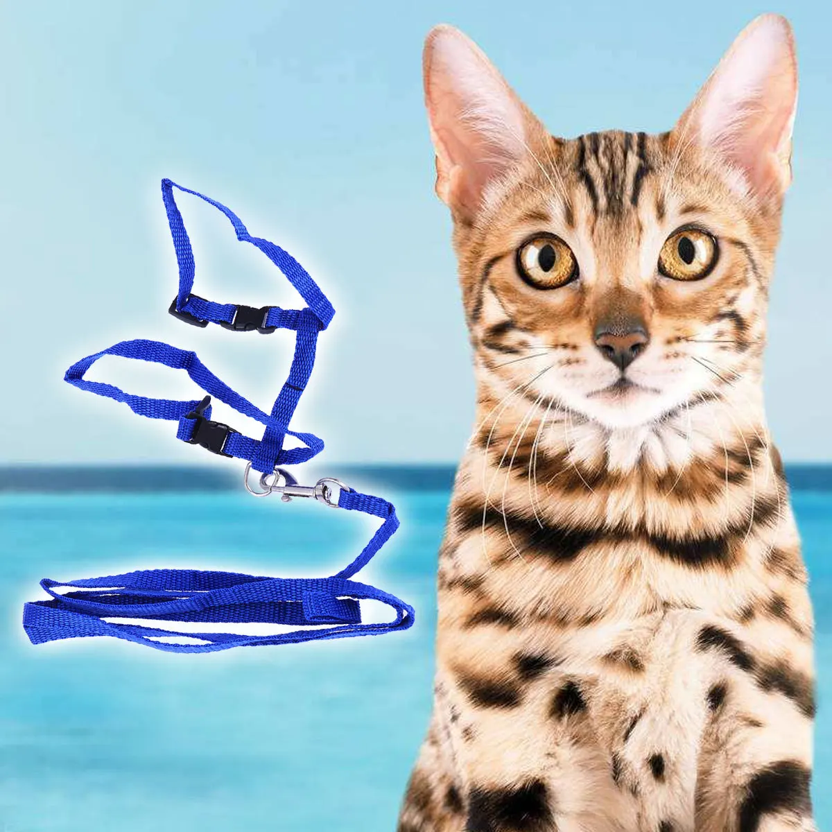 

Nylon Harness Traction Rope Adjustable Chest Stomach Buckle for Safe Walking Outdoor Indoor Pet Accessories Supplies