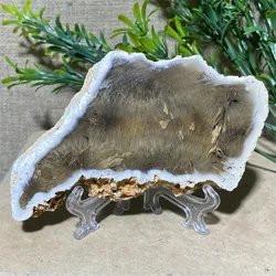 Crystal Natural Hair Agate Slab Slice Quartz Minerals Home Decoration Stone Reiki High Quality Beauty Healing+ Stand