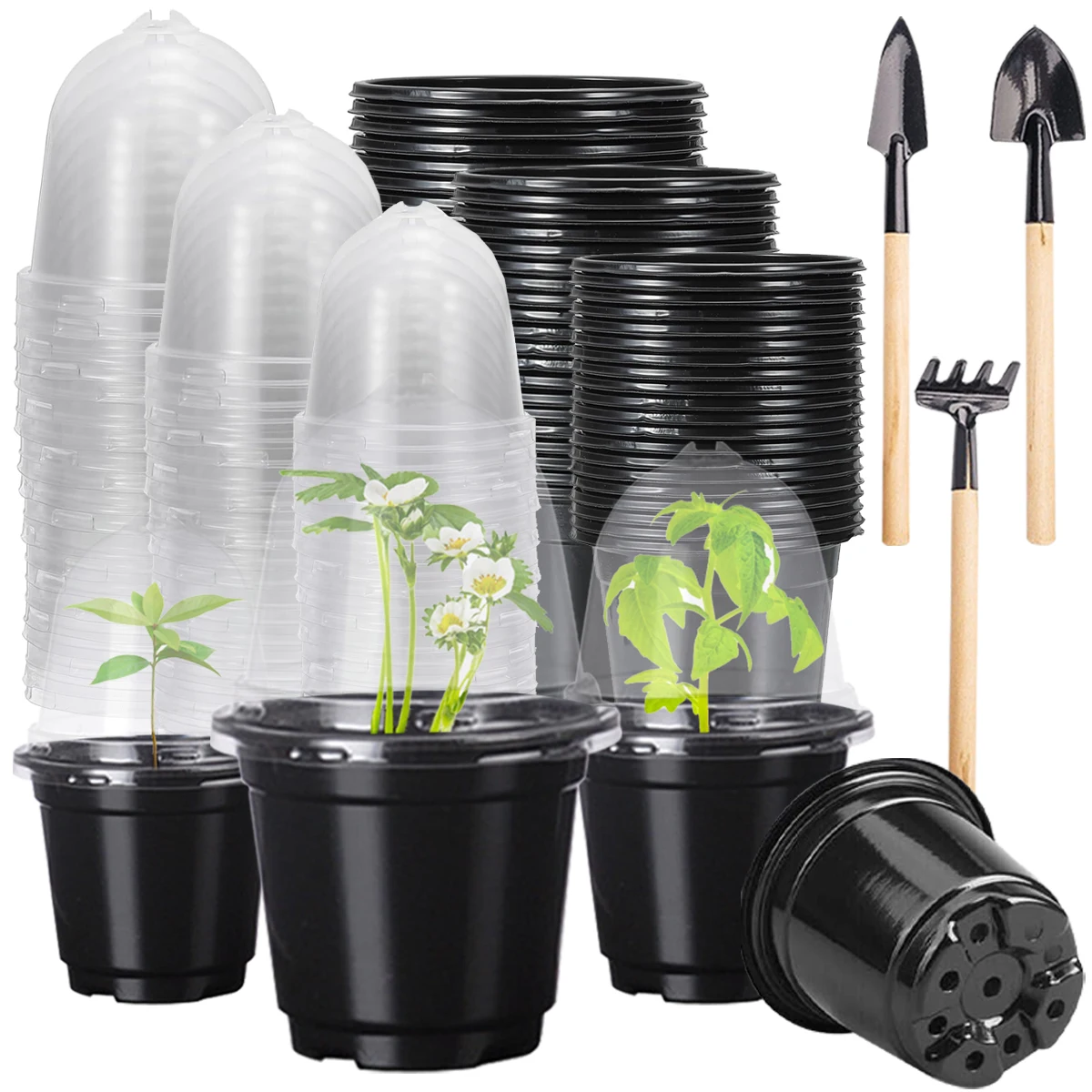 Macetas de semillas para vivero, plástico elegante, fácil de usar, Contai de plantas, Mini maceta interior, suministros de jardinería para suculentas, maceteros