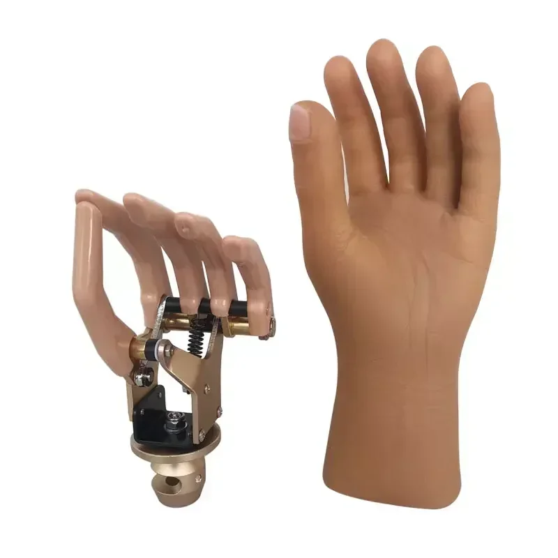 Prosthetic Components Hand Artificial Limbs Cosmetic Prostheses Skeleton Style Cosmetic Hand