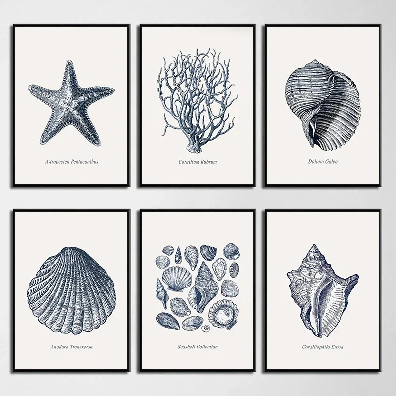 Pósteres de concha de estrella de mar, boceto de concha antigua del mar costero azul, impresiones en lienzo, pintura, imágenes artísticas de pared, decoración del hogar para habitación de niños