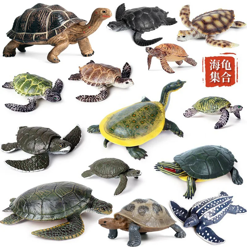 Simulation Marine Animals Ornaments Turtles Eared Slider Tortoise Amphibians Animal Model Children Science Education Tools Toys