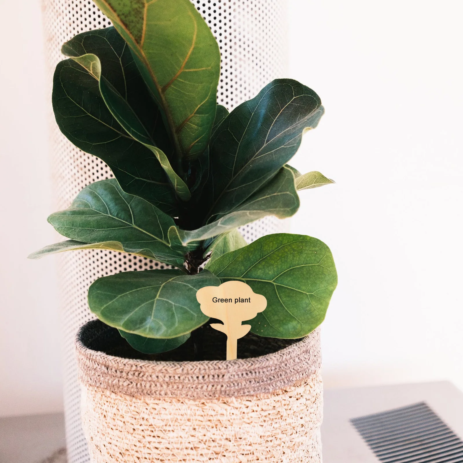 

50pcs Wood Plant Labels Flower Shape Name Tags for Garden Decorations Plant Signs Succulents Economical