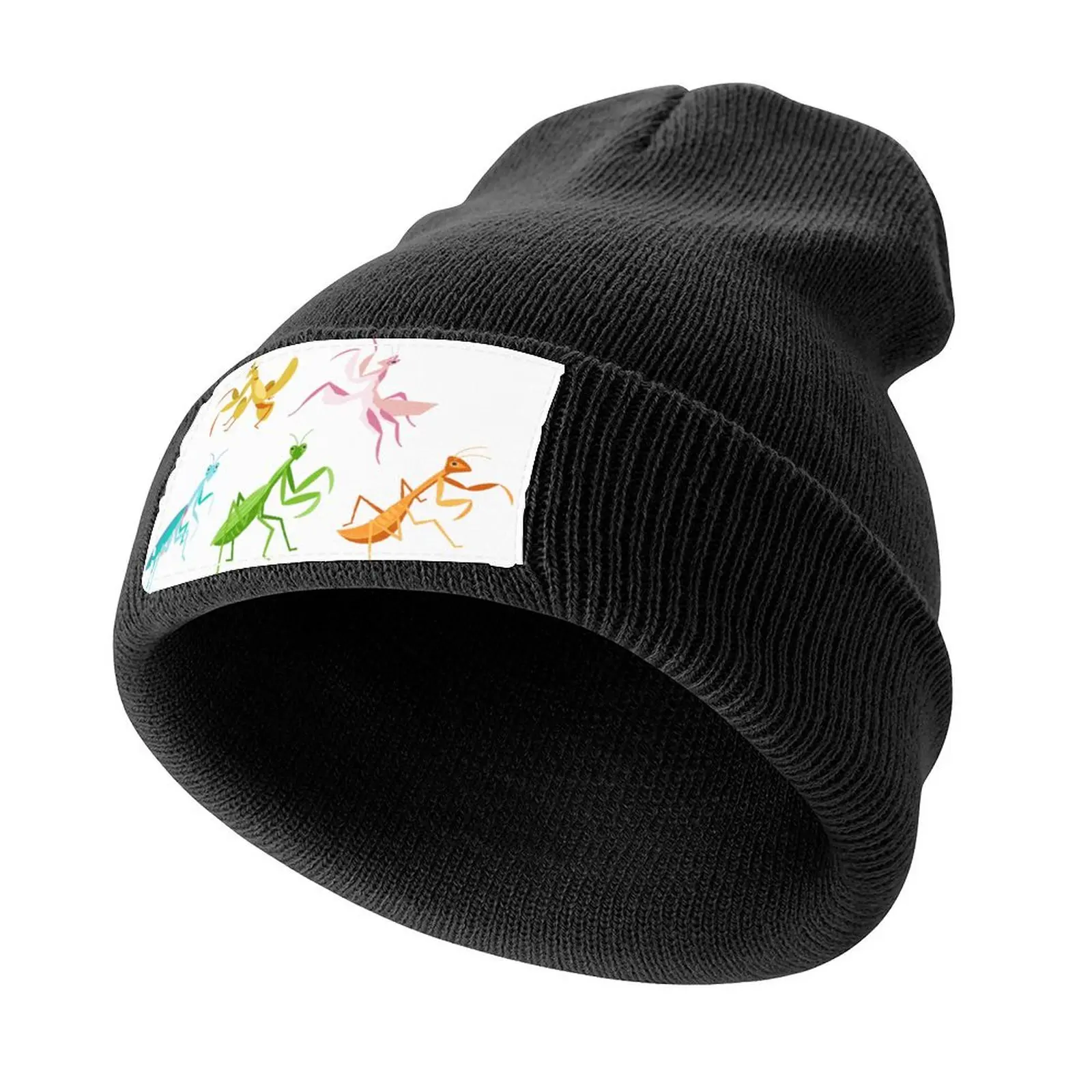 A Simple Assortment of Praying Mantises - Black Knitted Cap western Hat Thermal Visor Boy Women's