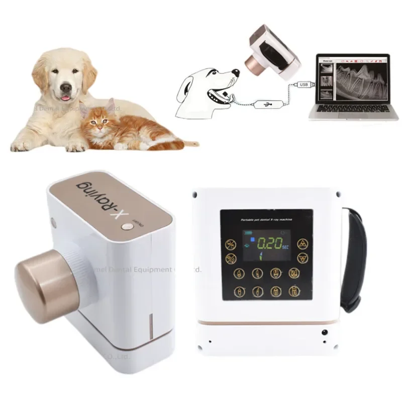 

Veterinary X-ray Machine Portable X Ray Equipment 60KV 30Khz 0.4mm Focus For Pet