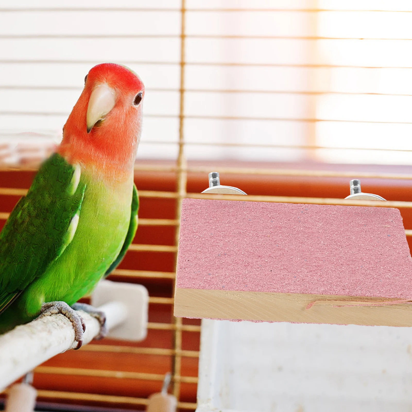 

2 Pcs Bird Perches Pet Platform Wooden Cage Parrot Stand for Small Birds Parakeets Cockatiels Finch Larger Size Wear Resistant