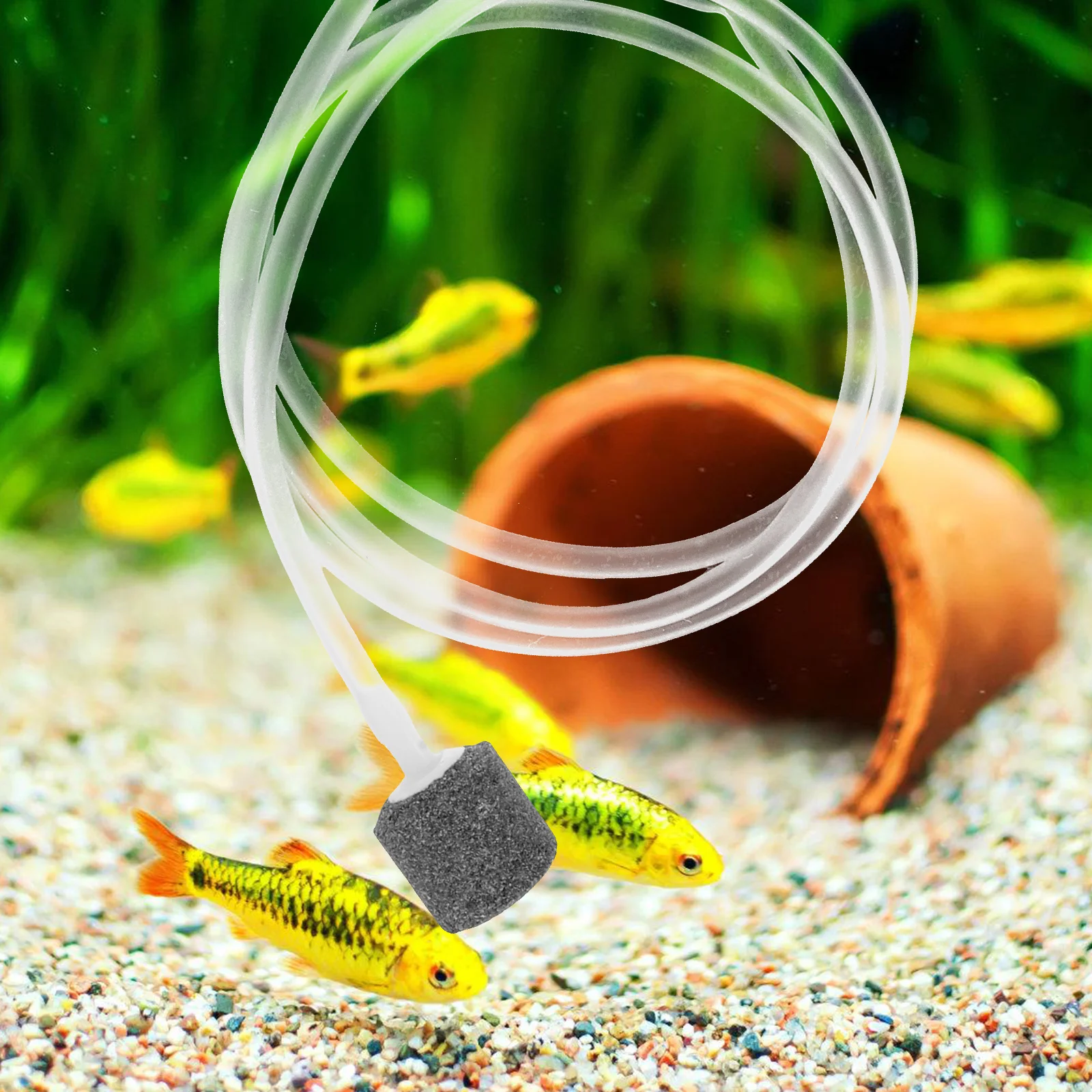 

Usb Oxygenation Silent Aerator Quiet Bubbler Small Portable Oxygen Pump Durable Fish Tank Oxygenator Living Room Bedroom Office
